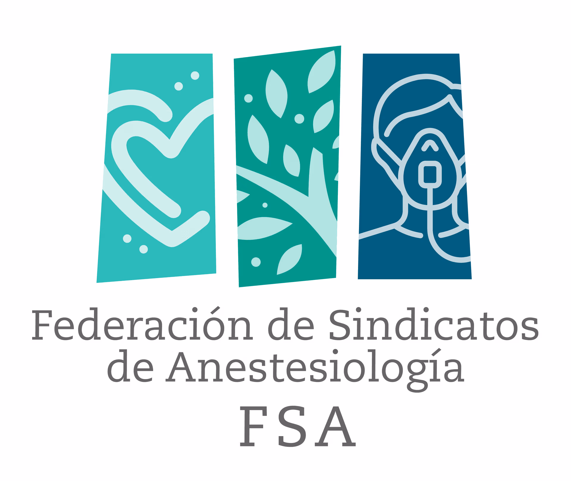 Logos FSA 3