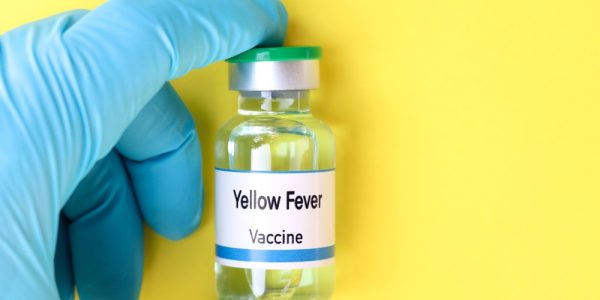 Yellow,Fever,Vaccine,In,A,Vial,,Immunization,And,Treatment,Of