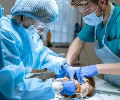 shutterstock_1438397948 shutterstock_1438397948